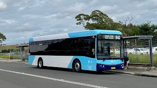 Interline Bus Services mo 8141  BCI Citirider Electric [upl. by Talya]