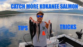 How to catch more Kokanee SALMON Guided Kokanee FISHING TRIP Stampede Reservoir [upl. by Nonek]