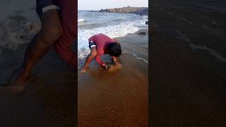 Catching Mole Crabs with Empty Hand fishing fishingvideos thoondilulagam seafishing [upl. by Ahseekan]