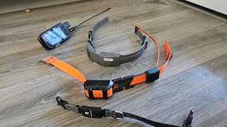 GPS Dog collar reviews [upl. by Ahtelrac]