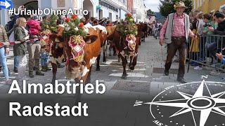 Almabtrieb in Radstadt Besonderes Erlebnis beim Urlaub am Bauernhof [upl. by Ylicis811]