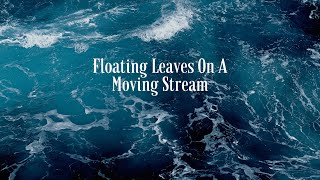 Floating Leaves On a Moving Stream Cognitive Defusion [upl. by Karlise]