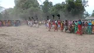 Dantewada adivasi dance [upl. by Maiocco846]