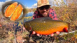 Fishing a TINY Lake w GIANT Brook Trout Catch amp Cook [upl. by Duff]