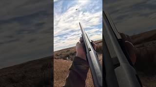 Pheasant Shoot🤔 hunting fyp shorts short youtube viral [upl. by Bodrogi]