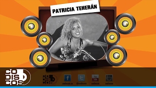 Voy A Esperarte Patricia Teherán  Audio [upl. by Esyli]