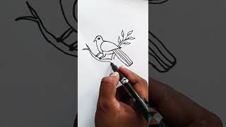 Easy colourful bird drawing birds drawingbirdscolourdrawing amezing birds drawing tranding video [upl. by Shayne]