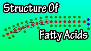 Fatty Acids  What Are Fatty Acids  Structure Of Fatty Acids  Types Of Fatty Acids [upl. by Retsevlys130]