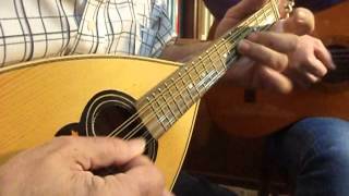 Tarantella Napoletana  Italian Mandolin music by Antonio Calsolaro [upl. by Eniac896]