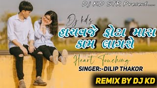 Hachavje phota mara Kam Lagse  Dilip Thakor New Gujrati Song 2024 Mashup 2 [upl. by Honig]