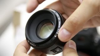 Canon EF 50mm f18 lens review with samples Fullframe and APSC [upl. by Mlohsihc]