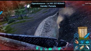 KILL GIGANOTOSAURUS WITH PTERANODON IN ARK MOBILE [upl. by Leesa]