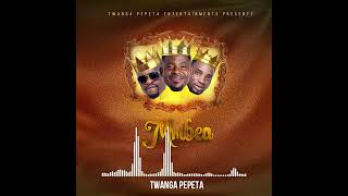 Twanga Pepeta  Mmbea Official Visualizer [upl. by Pero]