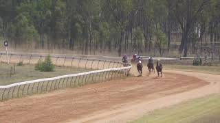 Moranbah 20241109 Race 5 [upl. by Bain694]