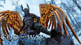 God of War Ragnarök  Vanadis Boss Fight NO DAMAGEGMGOW [upl. by Repmek]