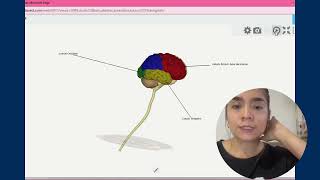 Neuroanatomía  Eje4 [upl. by Simah311]