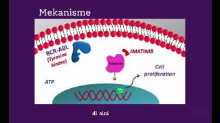 Mekanisme Kerja Obat Imatinib💊 [upl. by Ainegul220]