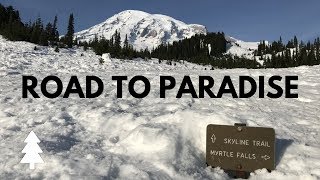 Road to Paradise Mt Rainier National Park [upl. by Camus]