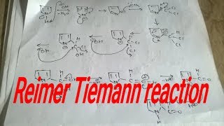 Reimer tiemann reaction mechanism heterocyclic [upl. by Ellerrad]