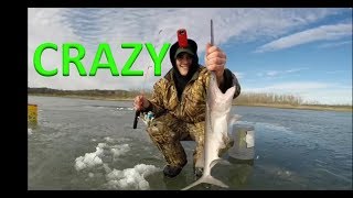 UNREAL VIDEO 2 Paddlefish Caught Ice Fishing [upl. by Gyasi]