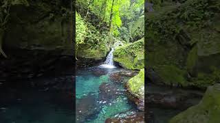 Kilangin Falls shortvideo nature trending cleanwaterforall [upl. by Drageruaeb]