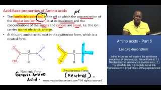 MCAT® Amino Acids Part 5 – Isoelectric Point and Zwitterions [upl. by Pillow757]