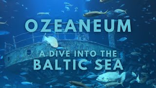 Diving into the Baltic Sea  Ozeaneum Stralsund  Public Aquarium   Vlog 21 [upl. by Aicilyt]