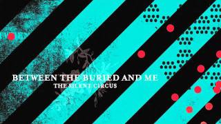 Between The Buried and Me  Shevanel Take 2 [upl. by Anazraf]