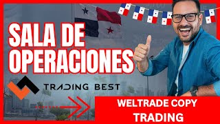 Weltrade Copy Trading [upl. by Otreblasiul]