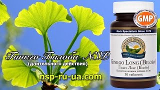 Гинкго билоба НСП Ginkgo Biloba NSP  растение листья дерево GMP продукция  бад NSP [upl. by Valerio]