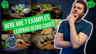 How To Setup the Best Leopard Gecko Enclosures [upl. by Anahcra606]