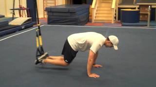 TRX Knee Tucks [upl. by Tatianas]