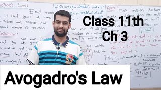 FSC Part 1 Chemistry Ch 3  Avogadros Law  11th Class Chemistry [upl. by Aloisius]