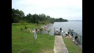 Lower Seletar Reservoir Yishun Dam Fishing Hotspots [upl. by Hidie88]