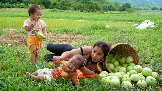 Harvest a giant melon garden with your children to sell at the central market  cook pig bran [upl. by Ennaeus]