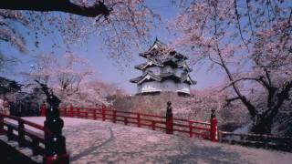 ［HD］満開の弘前公園の桜sakura物語 『弘前 桜まつり』CHERRY BLOSSOM in HIROSAKI 花の名所案内 [upl. by Asha]