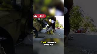 😱Fireman Saves Kitten from Burning Building😱 [upl. by Wynnie337]