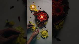 Traditional Meets Trendy Best Diwali Diya Ideas for 2024 [upl. by Renwick]