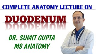 DUODENUM  COMPLETE ANATOMY LECTURE [upl. by Eecyaj519]