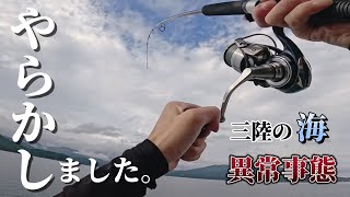 【衝撃必見】三陸堤防の生態系が異常事態です、、、 【東北三陸岩手釣り】 [upl. by Eibbil]