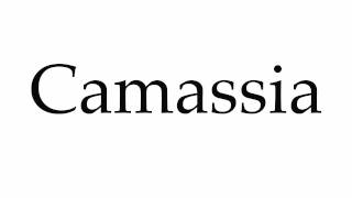 How to Pronounce Camassia [upl. by Silenay]