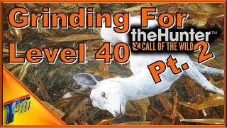 Grinding for Level 40 Pt 2  theHunter Call of the Wild 2017 [upl. by Yelyac]