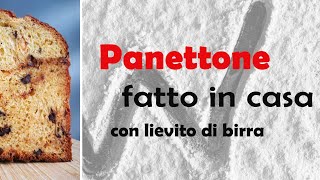 Panettone fatto in casa in planetaria  Ricetta semplice e veloce con lievito di birra [upl. by Annirok]