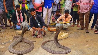 amazing street performers or busker  cobra flute music played by snake charmer [upl. by Neelie]