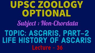 UPSC ZOOLOGY OPTIONAL  NonChordata L36  ASCARIS P2 LIFE CYCLE OF ASCARIS  IFS  Dr RK Sir [upl. by Innor]