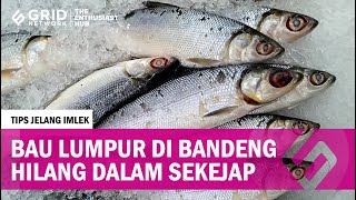 Persiapan Perayaan Imlek Tips Hilangkan Bau Lumpur di Ikan Bandeng Anti Ribet [upl. by Jeroma]