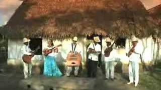 Los Utrera  Son Jarocho [upl. by Amled]