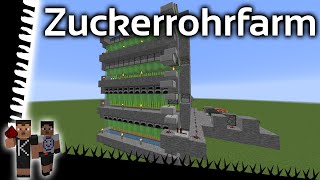 Weizen und Zuckerrohrfarm  Minecraft Lets Show [upl. by Esbensen625]