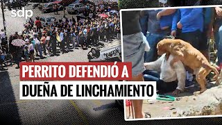 PERRITO🐶 resultó AFECTADO 😓por el LINCHAMIENTO de una MUJER en TAXCO presunta FEMINICIDA de CAMILA😔 [upl. by Aihc]