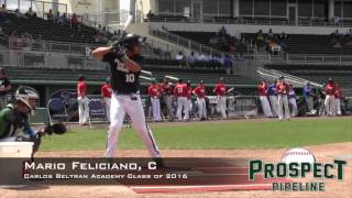 Mario Feliciano Prospect Video C Carlos Beltran Academy Class of 2016 [upl. by Ramburt]